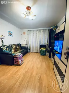 1-комнатная квартира: Сестрорецк, набережная реки Сестры, 11 (31.1 м)