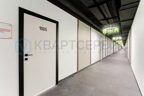 Офис в Омская область, Омск ул. Фрунзе, 1к4 (55 м)