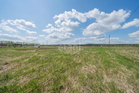 Участок в Пермский край, Пермский муниципальный округ, д. Большакино, ...