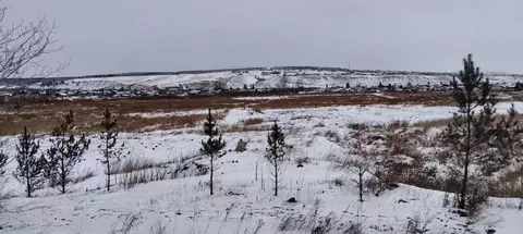 Участок в Красноярский край, Емельяновский муниципальный округ, ...