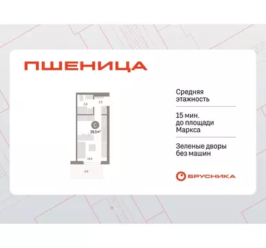 Квартира-студия: Новосибирский район, рабочий посёлок Краснообск, 3-й ...