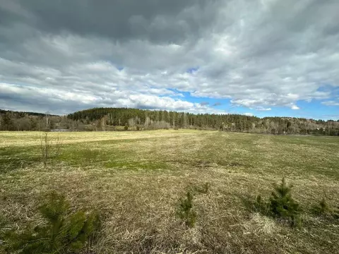 Участок в Ленинградская область, Выборгский район, Каменногорское ...