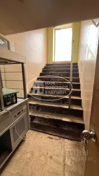 Помещение свободного назначения в Пермский край, Лысьва Делегатская ...