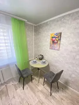 1-к кв. Ставропольский край, Ставрополь пер. Зоотехнический, 13А (33.0 ...