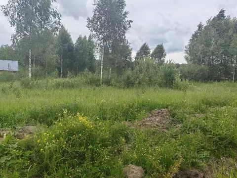 Участок в Московская область, Домодедово городской округ, с. Добрыниха ...