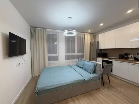 Студия Москва пер. Любучанский, 1к1 (25.0 м)