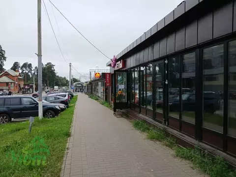 Торговая площадь в Московская область, Раменский муниципальный округ, ...