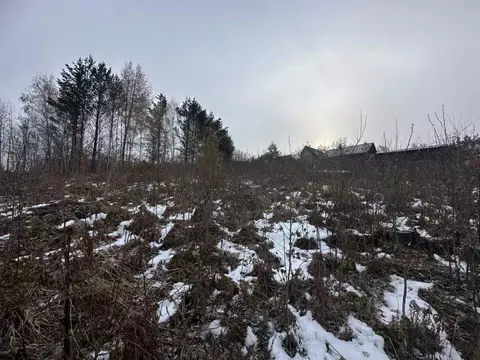 Участок в Иркутская область, Иркутский муниципальный округ, Новое СНТ ...