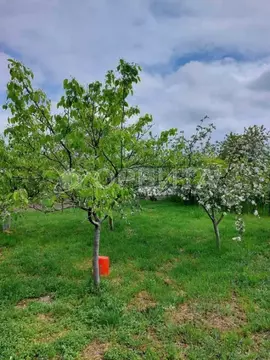 Участок в Тюменская область, Тюменский муниципальный округ, ...