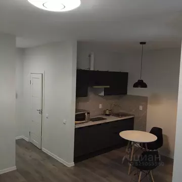 Студия Санкт-Петербург ул. Плесецкая, 24 (32.0 м)