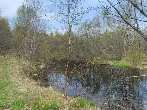 Участок в Хабаровский край, Николаевск-на-Амуре Сибирская ул., 93 ...