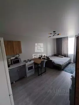 Студия Ростовская область, Ростов-на-Дону пер. Андреева (24.0 м)