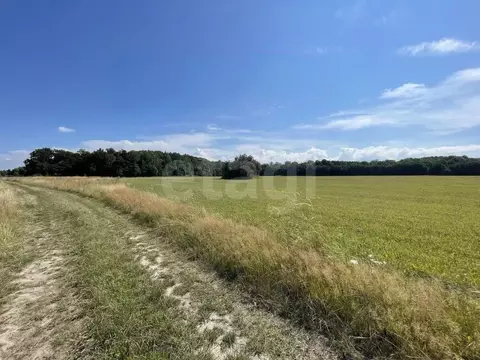 Участок в Калининградская область, Зеленоградский муниципальный округ, ...