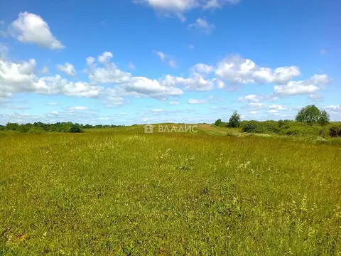Участок в Ленинградская область, Ломоносовский район, Русско-Высоцкое ...
