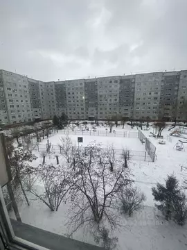 1-к кв. Омская область, Омск Сибирский просп., 18 (36.0 м)