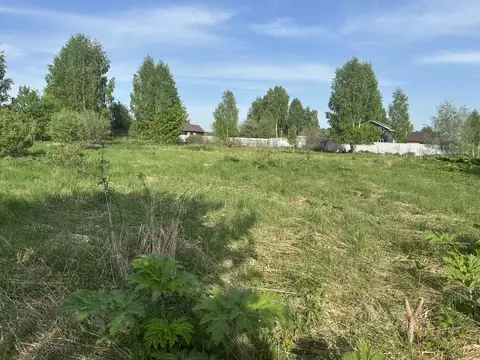 Участок в Тверская область, Конаковский муниципальный округ, д. Сажино ...