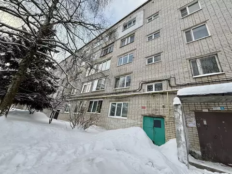 1-к кв. Нижегородская область, Кстово 3-й мкр, 10 (33.5 м)