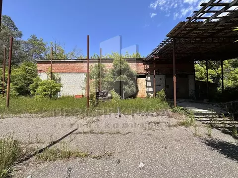 Помещение свободного назначения в Краснодарский край, Апшеронск ...