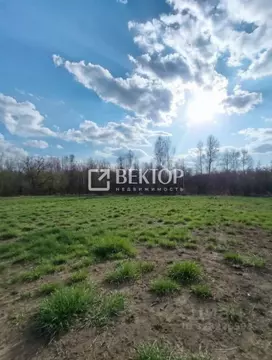 Участок в Костромская область, Судиславский муниципальный округ, д. ...