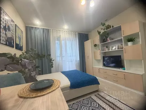 Студия Санкт-Петербург бул. Александра Грина, 2к1 (26.0 м)