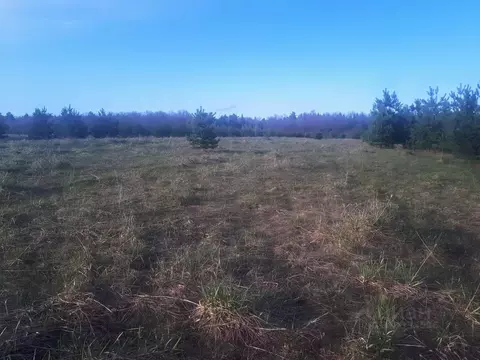 Участок в Владимирская область, Владимир д. Уварово,  (7.43 сот.)