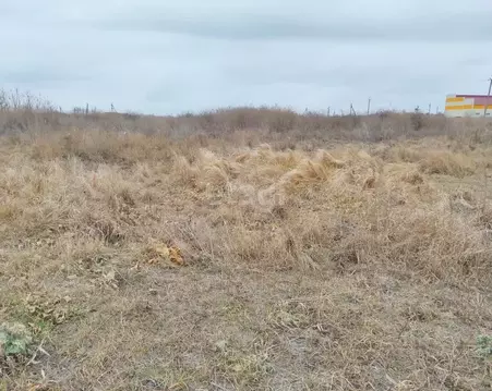 Участок в Краснодарский край, Ейский район, Должанская ст-ца  (20.4 ...