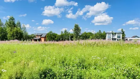 Участок в Московская область, Дмитровский муниципальный округ, с. ...