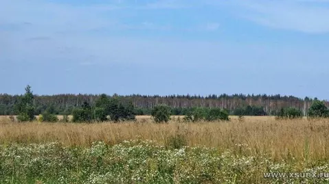 Участок в Московская область, Мытищи городской округ, д. Степаньково, ...