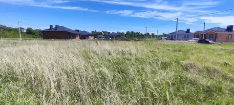 Участок в Воронежская область, Новоусманский район, Никольское с/пос, ...