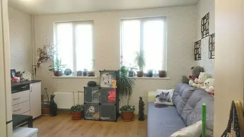 Студия Челябинская область, Сосновский муниципальный округ, Поселок ...