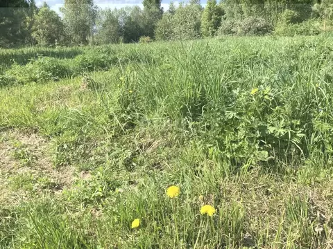 Участок в Костромская область, Костромской район, Чернопенское с/пос, ...