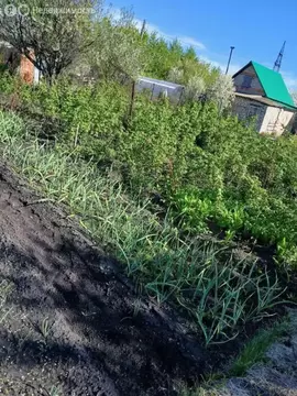 Дом в Чесноковский сельсовет, СНТ Рассвет, Оливковая улица (20 м)