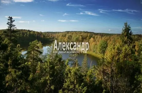 Участок в Ленинградская область, Выборгский район, Рощинское городское ...