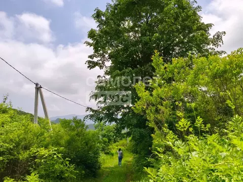 Участок в Приморский край, Партизанский муниципальный округ, с. ...