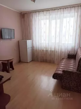 Студия Новосибирская область, Новосибирск Родники мкр, ул. Михаила ...