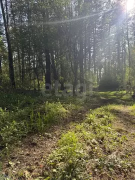 Участок в Алтай, Майминский район, с. Манжерок  (10.0 сот.)
