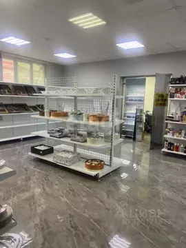 Помещение свободного назначения в Северная Осетия, Владикавказ ул. ...