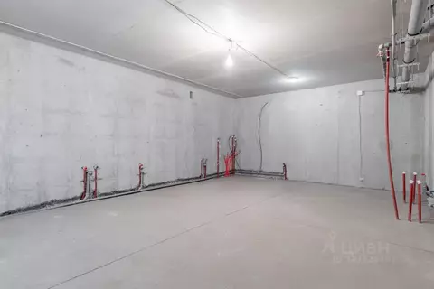 Помещение свободного назначения в Санкт-Петербург, Санкт-Петербург, ...