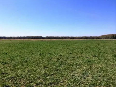 Участок в Хакасия, Бейский район, д. Дехановка Заречная ул. (17.7 ...