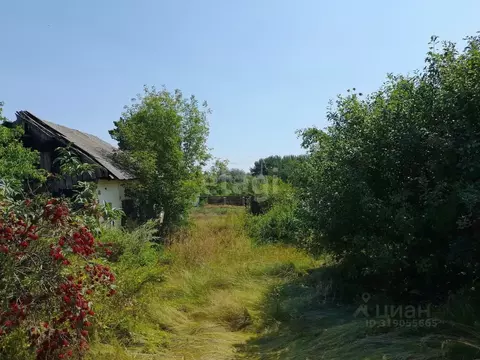 Участок в Саратовская область, Балашовский район, Пинеровское ...