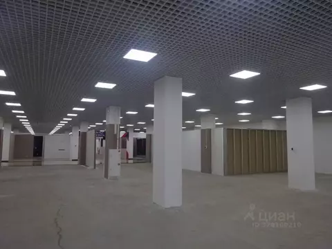 Торговая площадь в Санкт-Петербург Богатырский просп., 18К2 (2500 м)