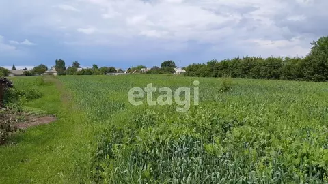 Участок в Белгородская область, Корочанский район, с. Мелихово  (42.72 ...