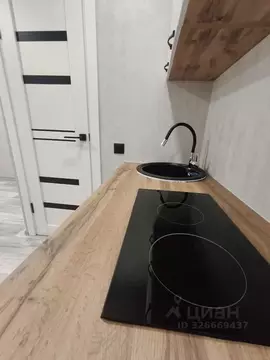 Студия Пензенская область, Пенза Заводская ул., 15 (18.0 м)