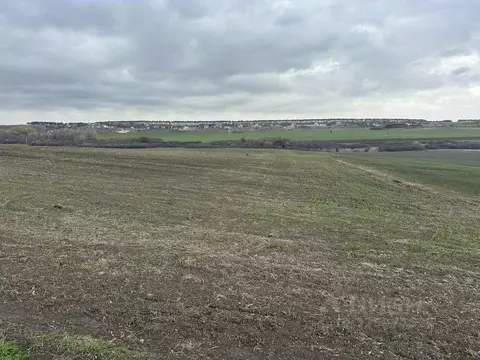 Участок в Крым, Симферопольский район, с. Трудовое  (146.8 сот.)