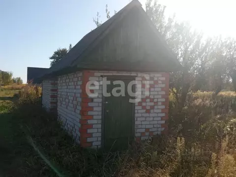 Участок в Брянская область, Брянский район, Мичуринское с/пос, ...