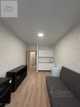 Студия Воронежская область, Воронеж ул. 9 Января, 233/40 (24.0 м)