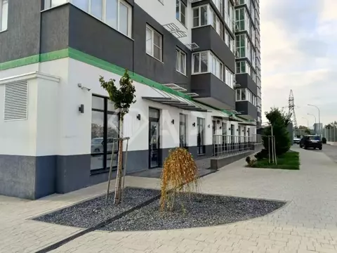 Помещение свободного назначения в Краснодарский край, Новороссийск ул. ...