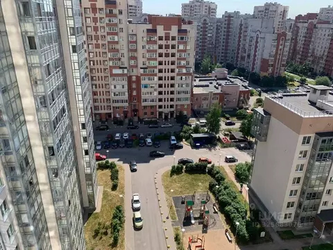 Студия Санкт-Петербург Кондратьевский просп., 64к9 (24.0 м)