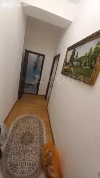 Квартира-студия: Махачкала, Хивская улица, 7 (35 м)