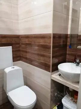 Студия Санкт-Петербург пос. Шушары, просп. Новгородский, 4 (27.0 м)